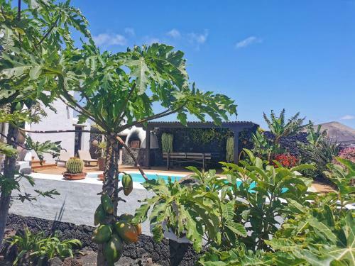 Apartamento Los Dragos