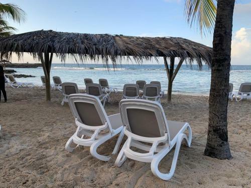 Apartamento Cocoyer Manganao
