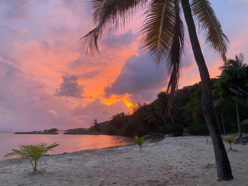 Apartamento �den Lagon 1 Dans R�sidence Avec Piscine Et Plage