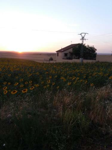 El Balc�n De La Mata
