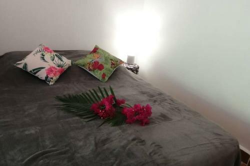 Apartamento New Studio Massouly Vue Jardin Anse Des Rochers