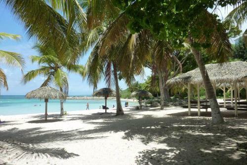Apartamento New Studio Massouly Vue Jardin Anse Des Rochers