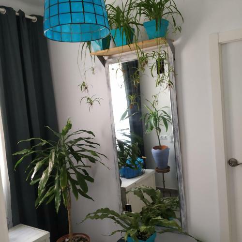Boutique Beach Apartment Matar�