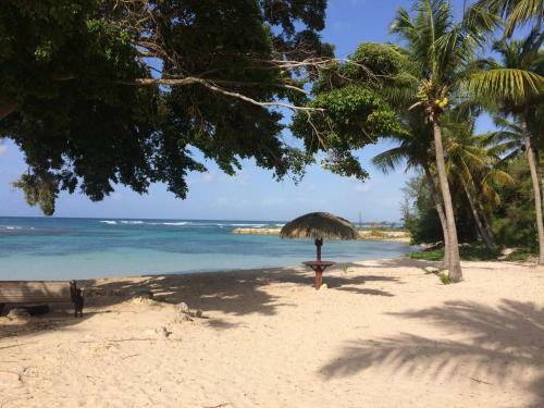 Apartamento Studio Passion Des Iles Anse Des Rochers Villa Hibiscus