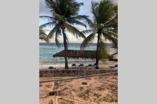 Apartamento Le Ti Cocotiers T3 En Rdc Meubl�