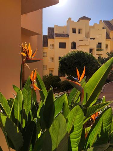 Apartamento Duquesa Village (la Casa Del Loonos)