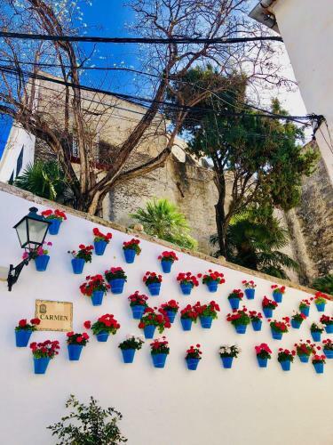 Apartamento Duquesa Village (la Casa Del Loonos)