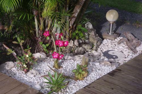 Gite Le Colibri Bungalow Azur