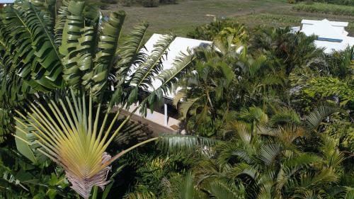 Gite Le Colibri Bungalow Azur