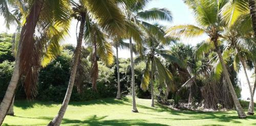 Apartamento L'orchid�e