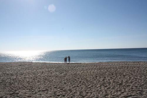 Apartamento Urbanizaci�n C�rmenes Los El Hacho