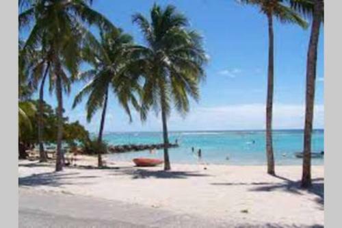 Apartamento Coeur Caraibes