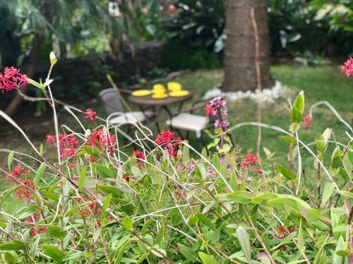 Agroturismo La Casita De Mazo