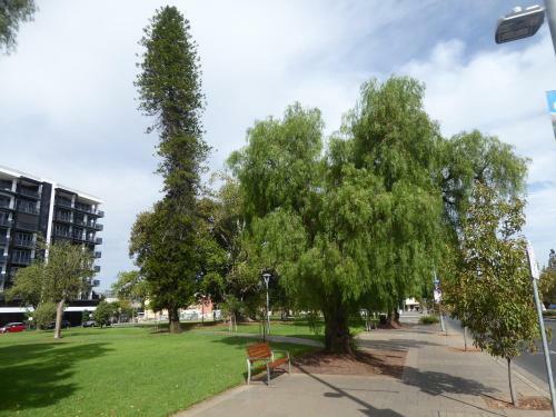 Adelaide Cbd Apartment - 3br, 2bath & Carpark
