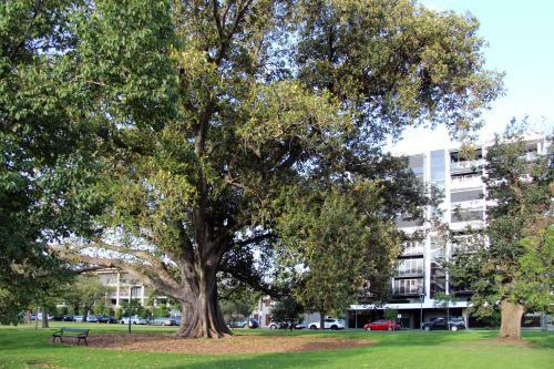 Adelaide Cbd Apartment - 3br, 2bath & Carpark