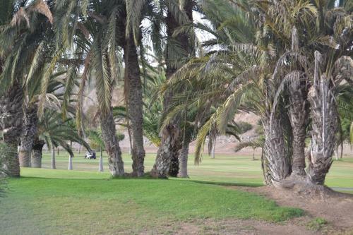 Apartamento Maspalomas Experience Holiday House