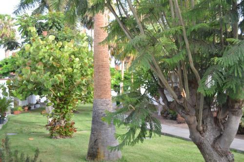 Apartamento Maspalomas Experience Holiday House
