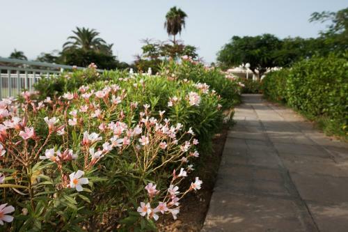 Apartamento Maspalomas Los Melocotones, Maspalomas Golf