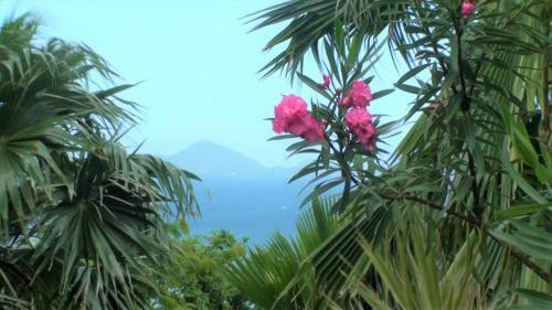 Villa Casa La Colline