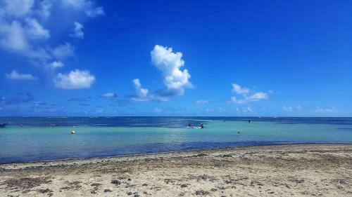 Apartamento Studio Frangipani Dans Villa Fleurs Des Iles