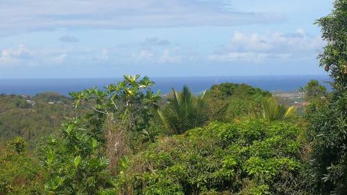 Loue Maison En Martinique