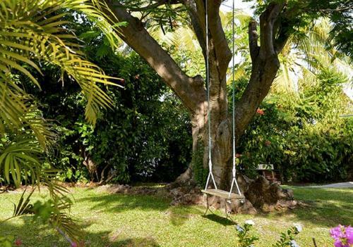 Apartamento Le Petit Macabou Lodges : Les Pieds Dans L'eau
