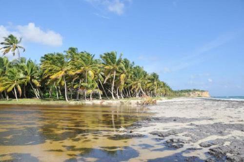 Apartamento Le Petit Macabou Lodges : Les Pieds Dans L'eau