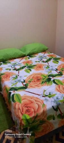 3 Bedroom Apartment In Westerrn Tobago