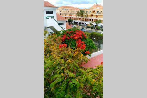 Surycan, Beautiful Apartment In Maspalomas