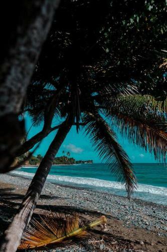Apartamento Bilimbi Beachfront Farmstay W Pool