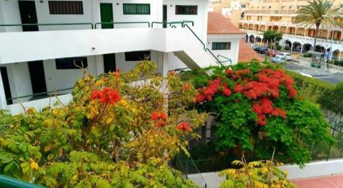 Apartamento Luxury Sonnenland