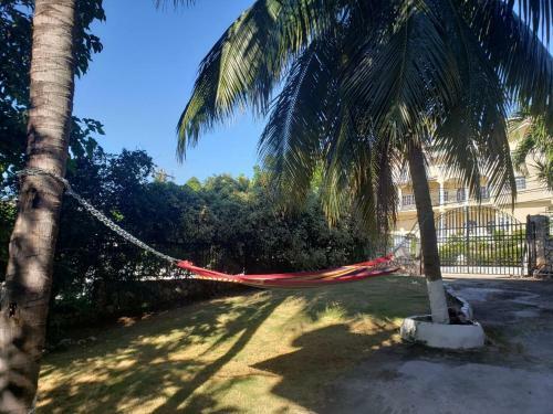 Hostal Hill Retreat - Kingston