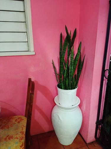 Barbican Bed And Breakfast At Dillsbury