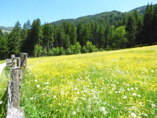 Posada Gasthof Dorfschenke