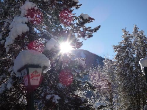 Posada Gasthof Dorfschenke