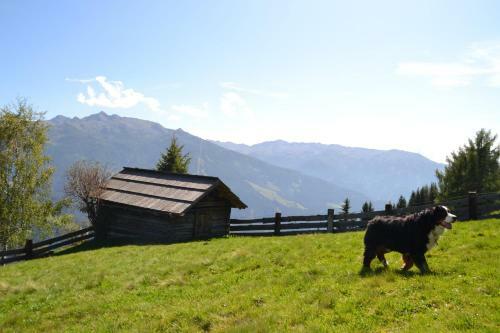 Hostal Pension Pichlerhof