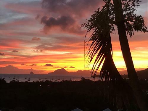 Apartamento Belfond-tropical