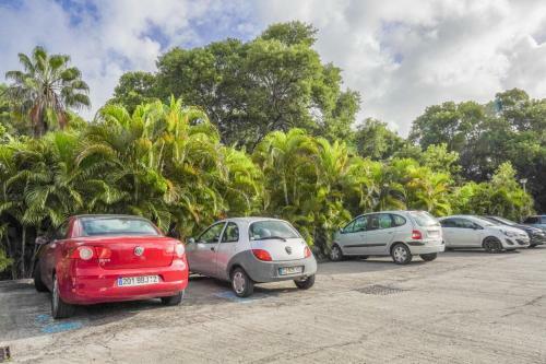 Apartamento Studio Choupette R�sidence Mahogany Anse Caritan Rdc