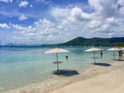 Apartamento Le Hamo - Tropical : T2 Piscine Proche Plage