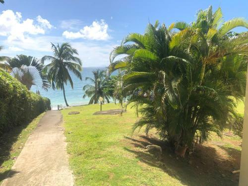 Apartamento T2 Les Pieds Dans L'eau, Vue Mer Caraibes