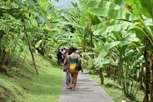 Haut De Villa Dans Son �crin De Verdure