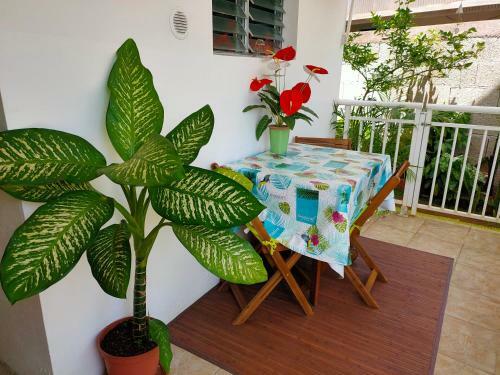 Apartamento Dilou Sch?lcher