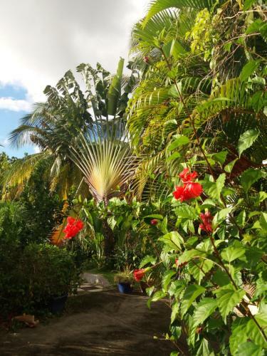 Bed & Breakfast Chambre D'h�te La Villa Gialla