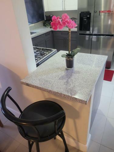 Apartamento Orange Comfort