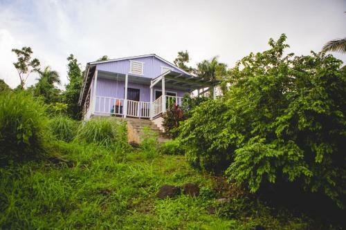 Bed & Breakfast La Casa De Vida Natural