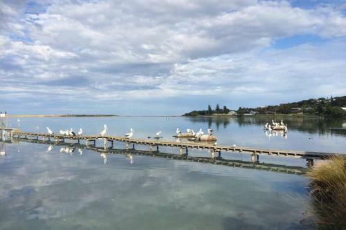 Dolphin Shores By The Blackwood River