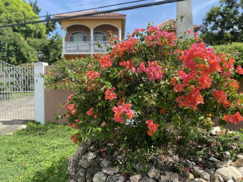 Five-bedroom Villa