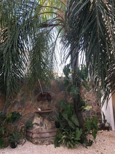 Apartamento Beach Dunes