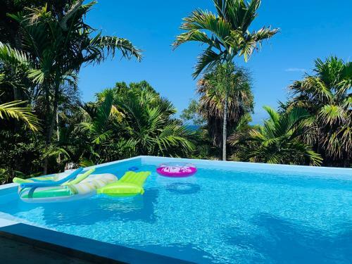 Private Ocean View Apartment @ Secluded Palm Villa