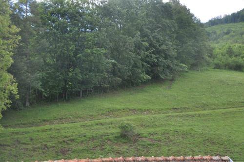 Apartamento Mostheuriger Steyrdurchbruchalm